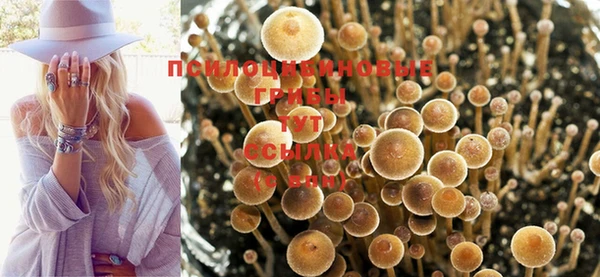 кокс Богданович