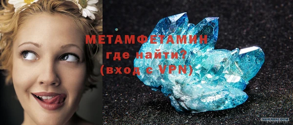 индика Новозыбков