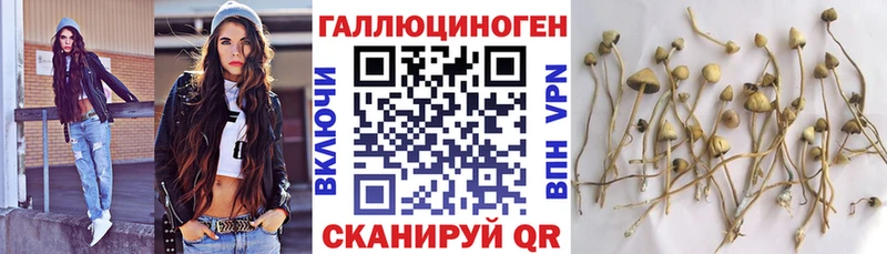 Псилоцибиновые грибы MAGIC MUSHROOMS Джанкой